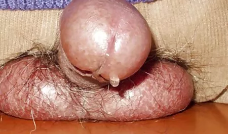 Các doanh nhân sau khi nộp NGƯỜI trợ phim sex gái trẻ nhật bản lý hỗn loạn